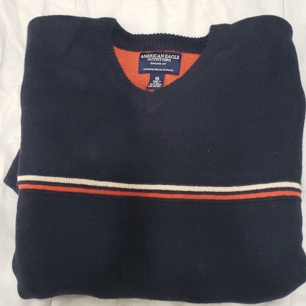 American Eagel Outfitters Men's Large V-Neck Sweater - Picture 3 of 4